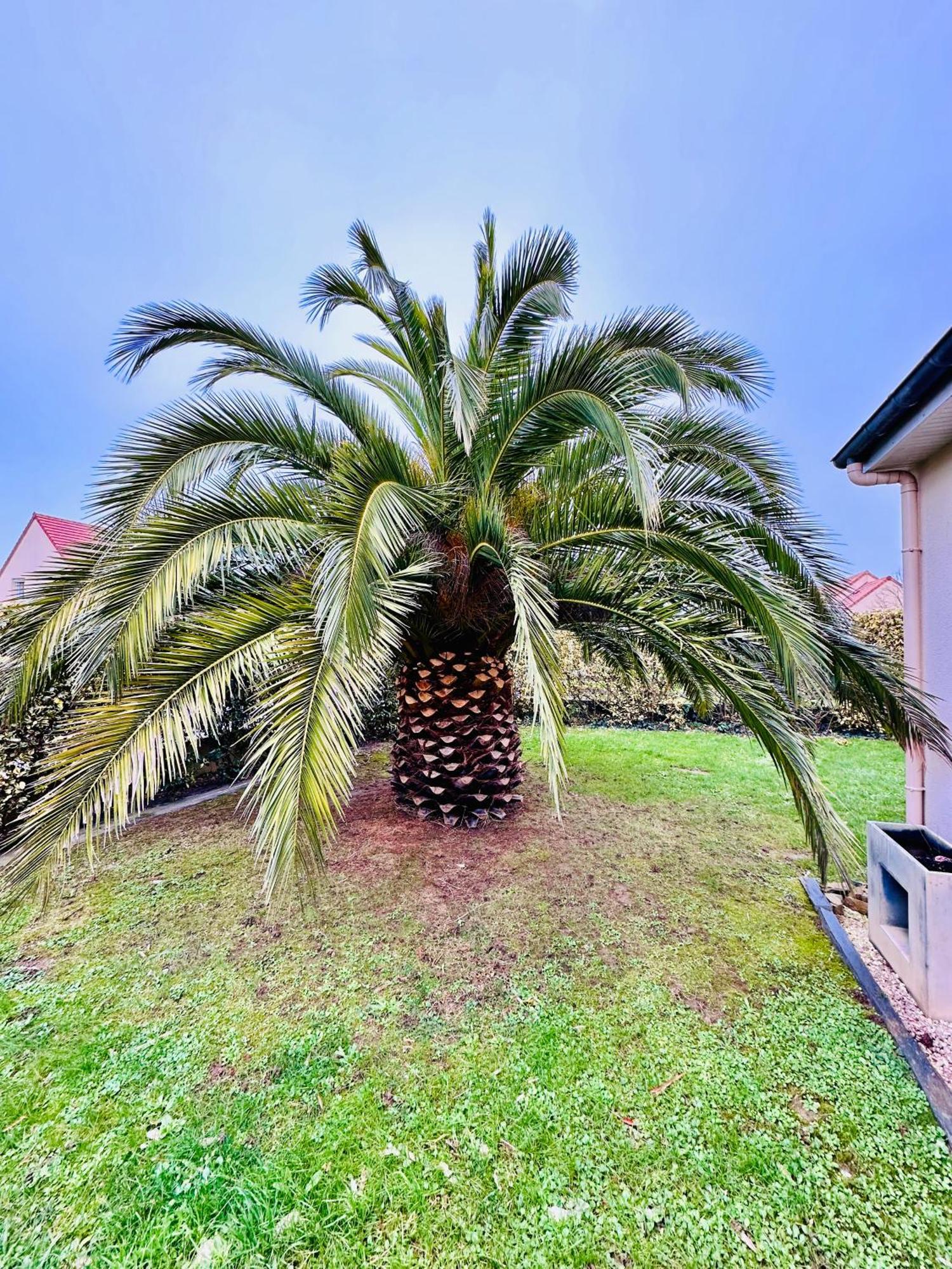Les Palmiers Gite 7 Personnes Plages Du Debarquement กรองด์คอมป์-เมซี ภายนอก รูปภาพ